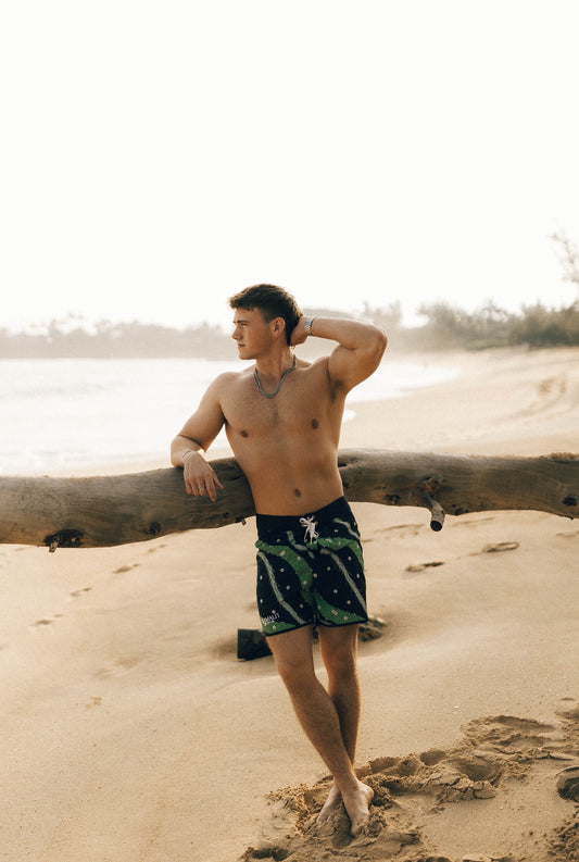 Pa'ina Board Shorts